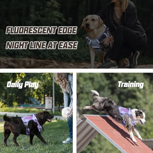 Dog Harness for Small Medium Dogs No Pull Adjustable Reflective K9 Working Training Easy Control Pet