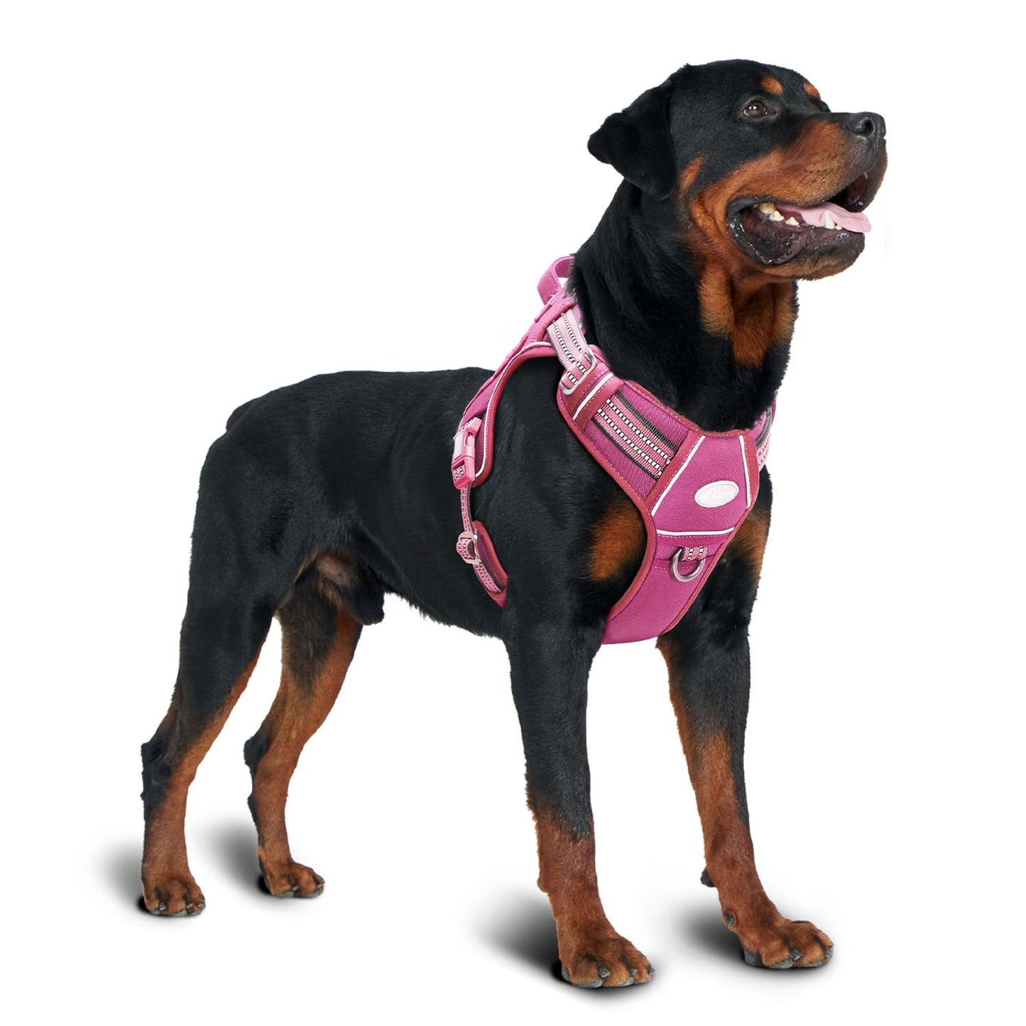 Dog Harness for Small Medium Dogs No Pull Adjustable Reflective K9 Working Training Easy Control Pet