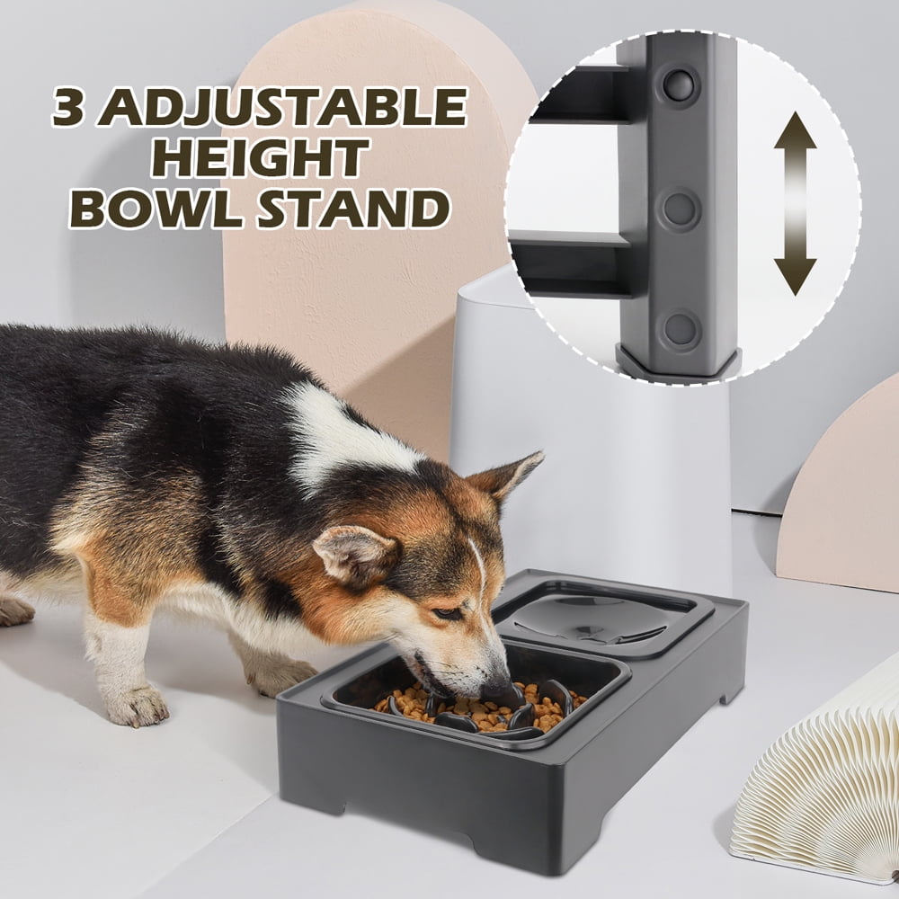 Dog Bowls with Slow Feeder, Adjust 4 Heights for Small Medium Large Dogs, Black