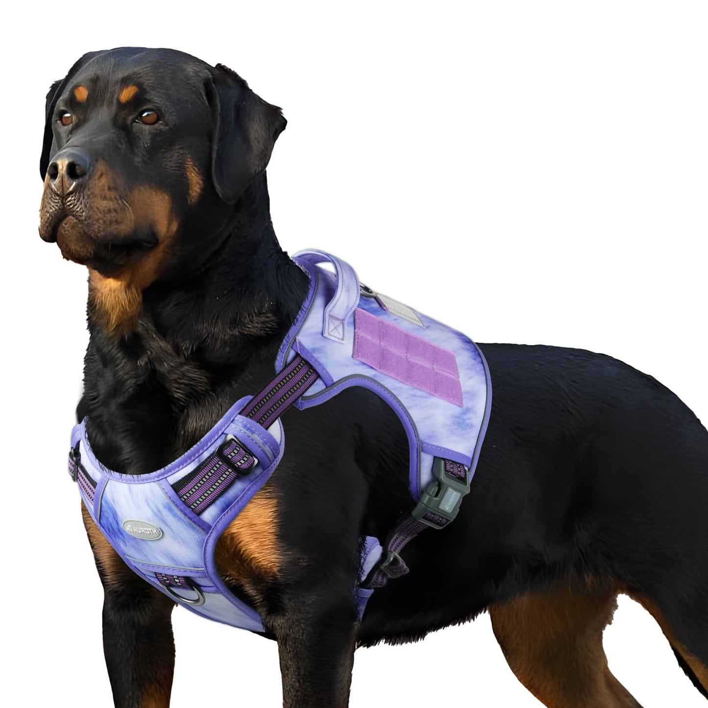 Dog Harness for Small Medium Dogs No Pull Adjustable Reflective K9 Working Training Easy Control Pet