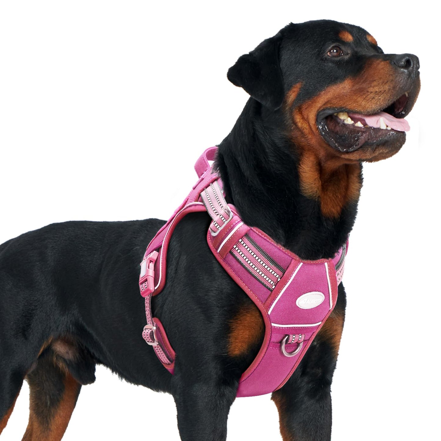 Dog Harness for Small Medium Dogs No Pull Adjustable Reflective K9 Working Training Easy Control Pet