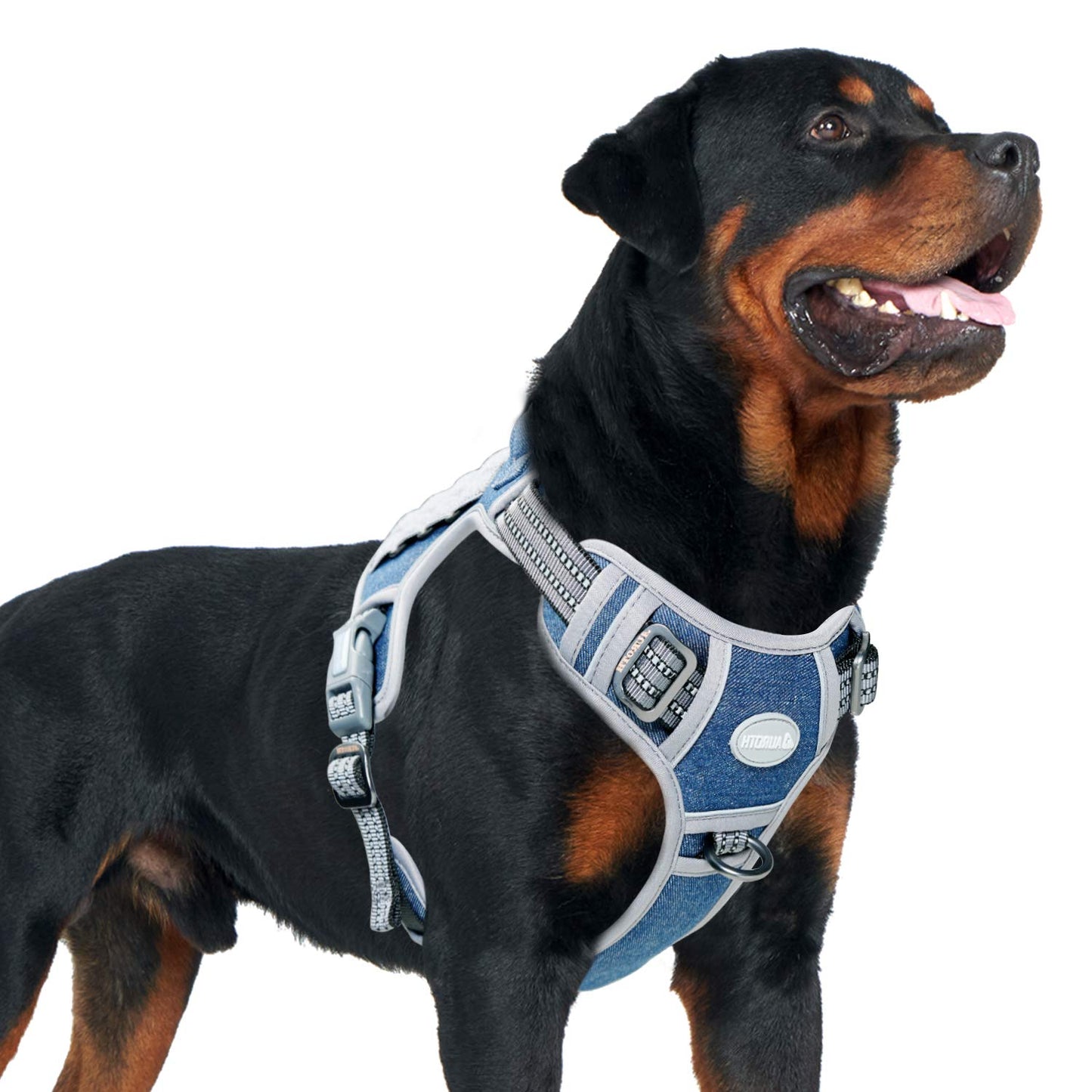 Dog Harness for Small Medium Dogs No Pull Adjustable Reflective K9 Working Training Easy Control Pet