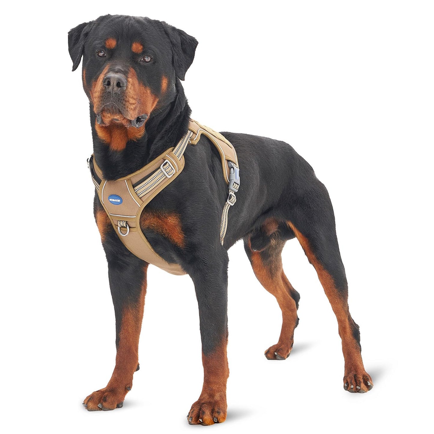 Dog Harness for Small Medium Dogs No Pull Adjustable Reflective K9 Working Training Easy Control Pet