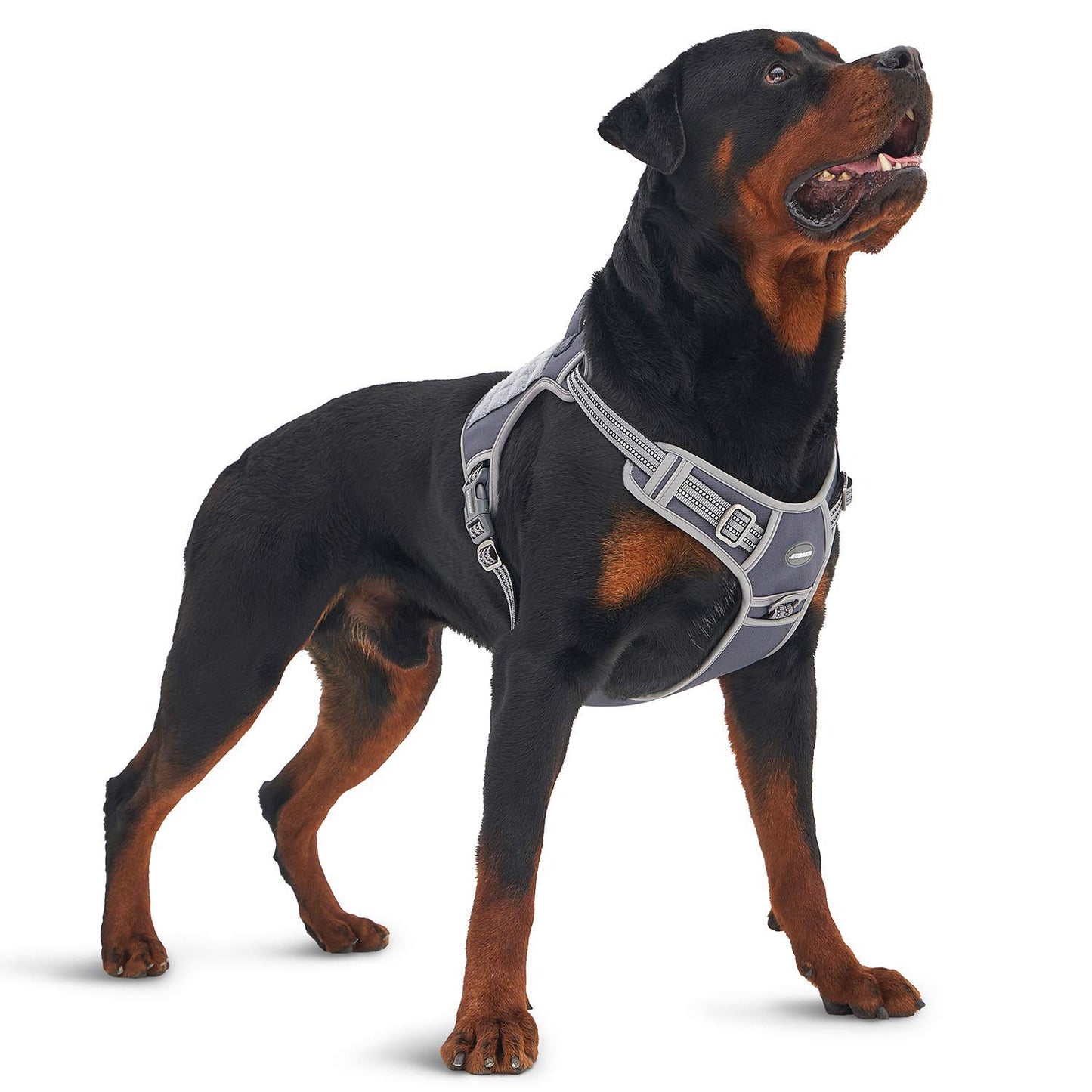 Dog Harness for Small Medium Dogs No Pull Adjustable Reflective K9 Working Training Easy Control Pet