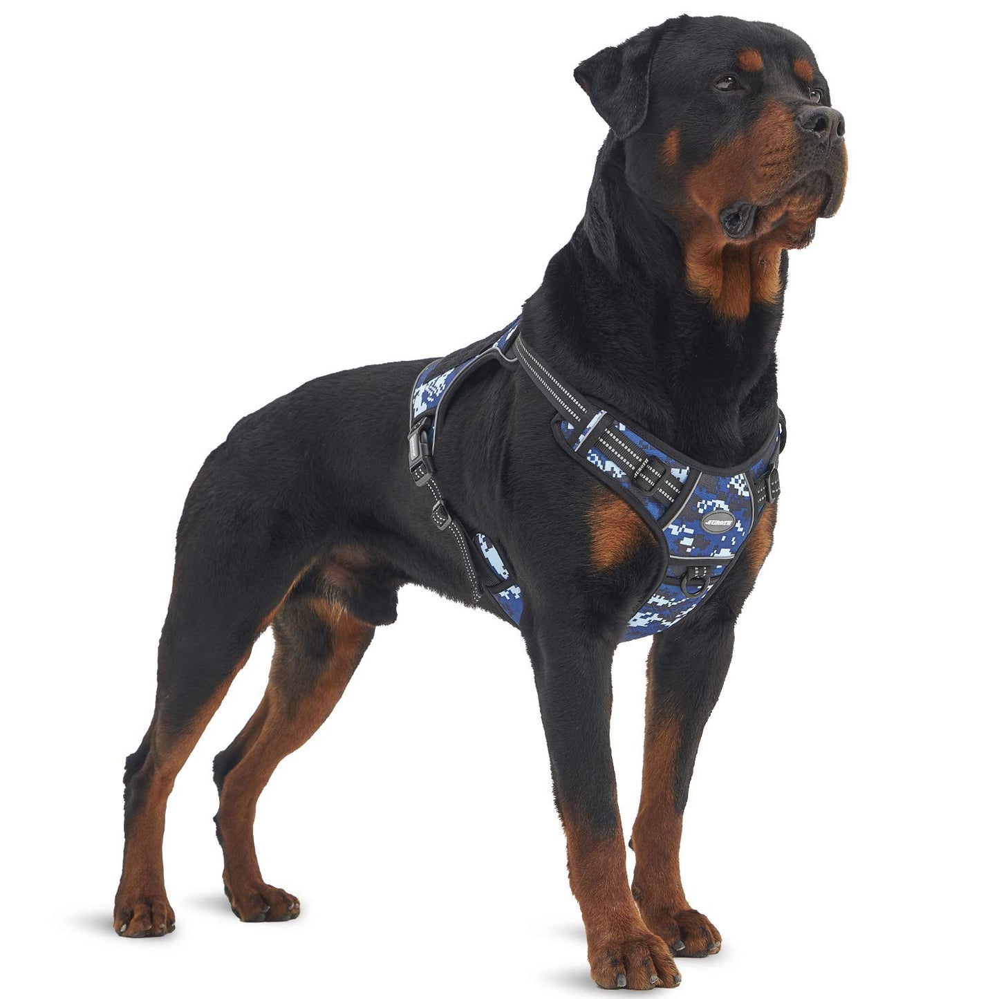 Dog Harness for Small Medium Dogs No Pull Adjustable Reflective K9 Working Training Easy Control Pet