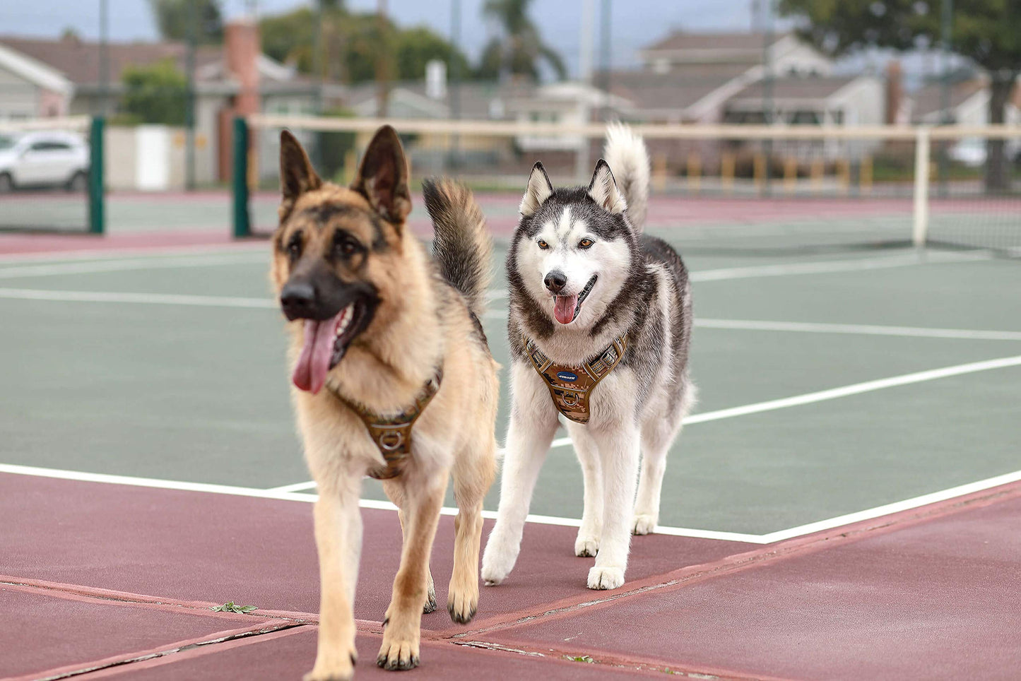 Dog Harness for Small Medium Dogs No Pull Adjustable Reflective K9 Working Training Easy Control Pet