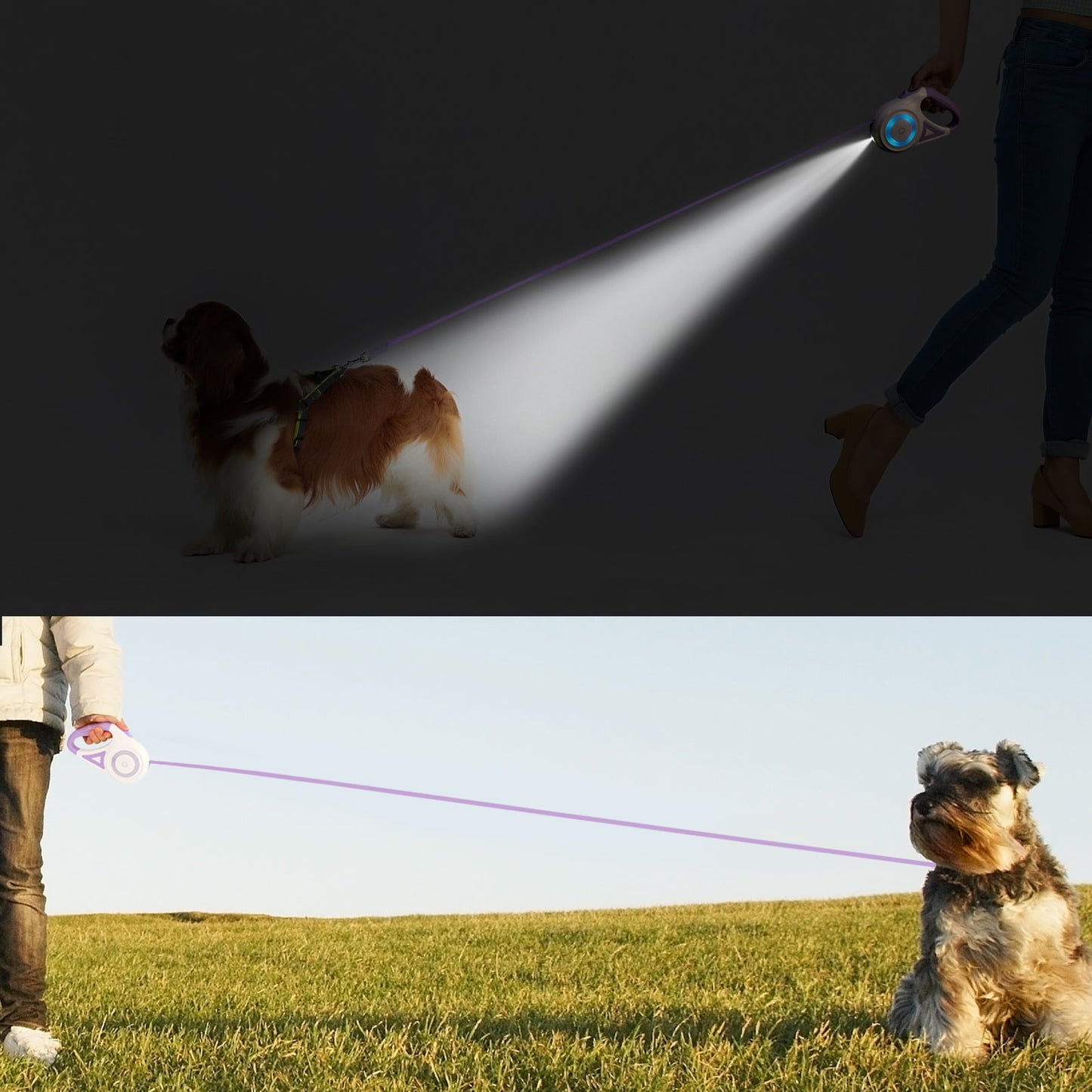 Dog Leash, 16ft with Light, Anti-Slip Handle, One Button Brake & Lock Tangle-Free Dog Retractable Leash
