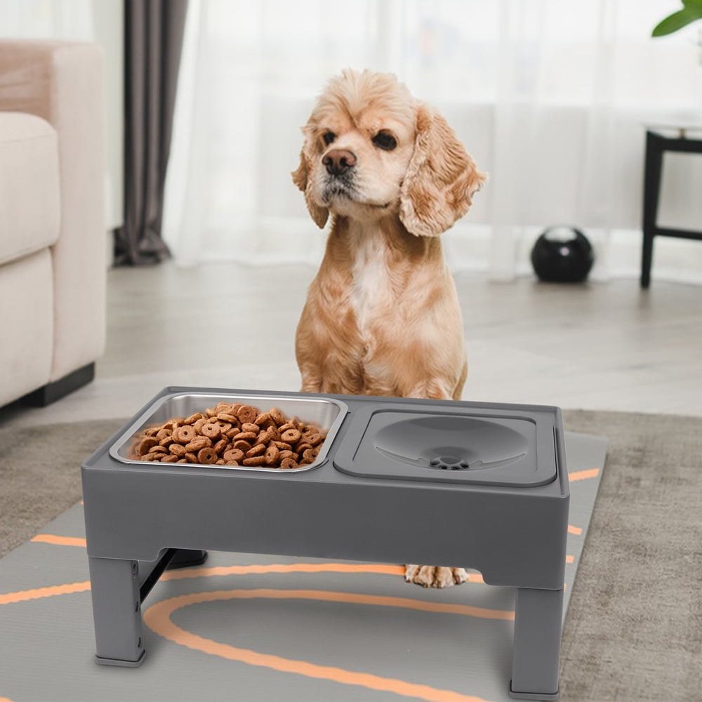 Dog Bowls with Slow Feeder, Adjust 4 Heights for Small Medium Large Dogs, Black