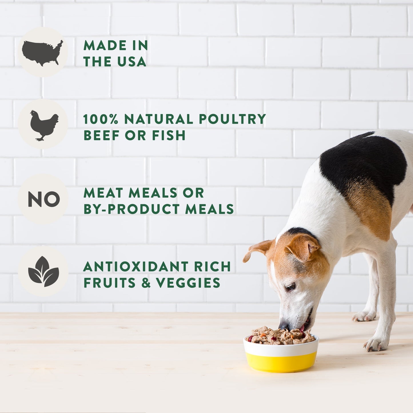 Fresh From the Kitchen Home Cooked Chicken Recipe for Dogs , 1.75 Lb