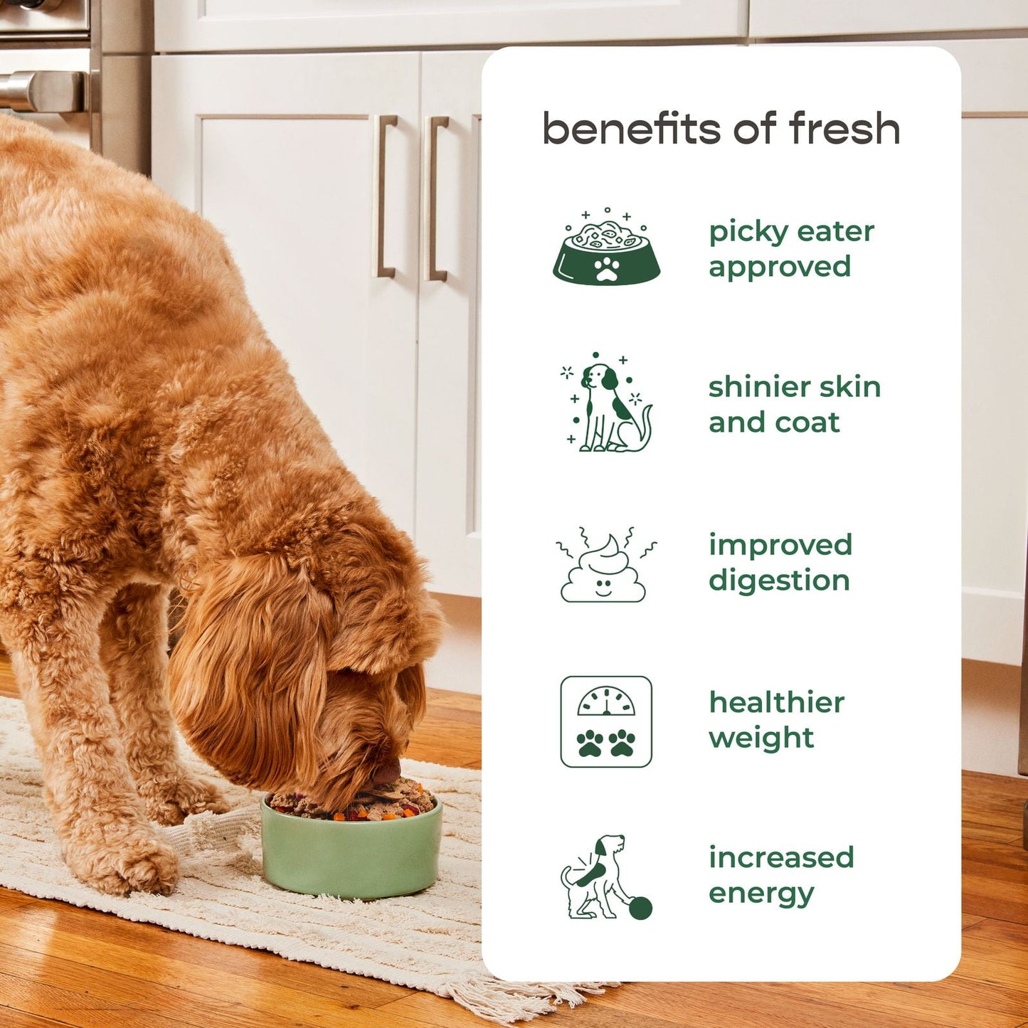 Fresh From the Kitchen Home Cooked Chicken Recipe for Dogs , 1.75 Lb